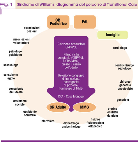 Fig. 1 Sindrome di Williams: diagramma del percorso di Transitional Care