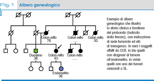 Fig. 1 Albero genealogico
