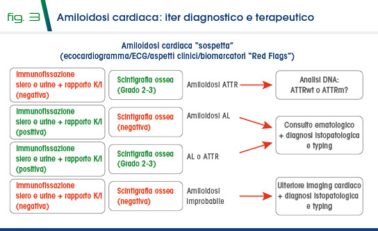 Fig 3 - Amiloidosi cardiaca: iter diagnostico e terapeutico