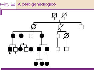 Fig. 2 Albero genealogico