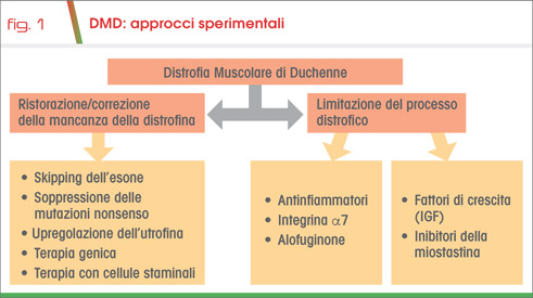 fig1