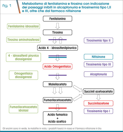 fig1