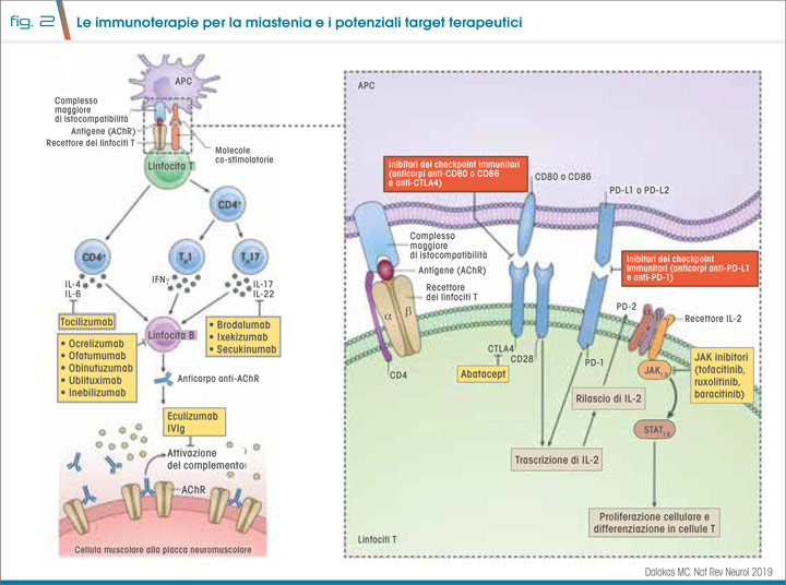 fig2