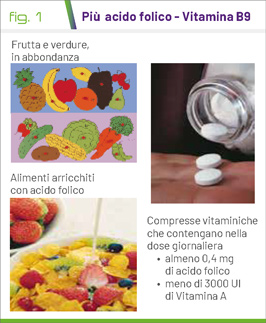 fig1
