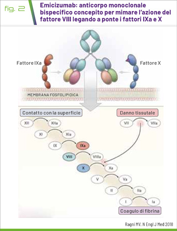 fig2