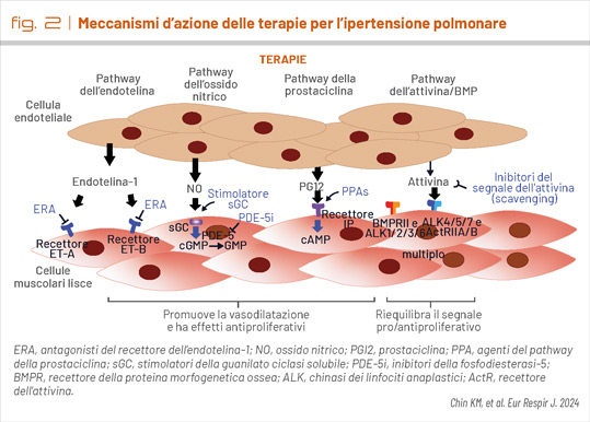 fig2