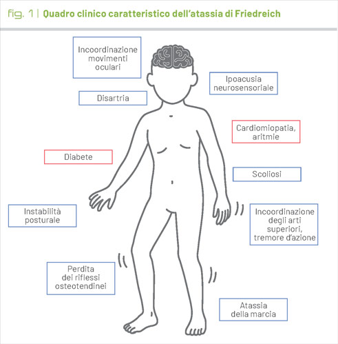 fig1