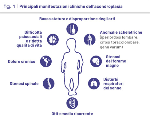 fig1