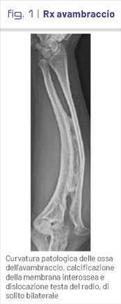 fig1
