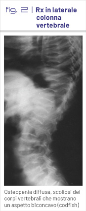 fig2