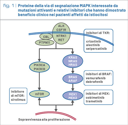 fig1