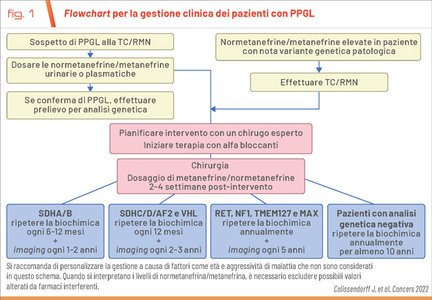 fig1