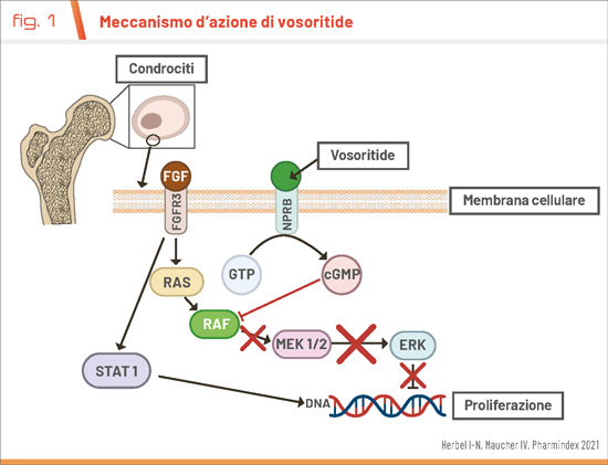 Fig1