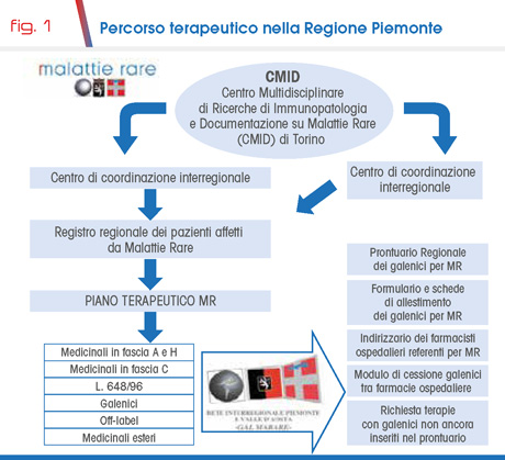 fig. 1 Percorso terapeutico nella Regione Piemonte