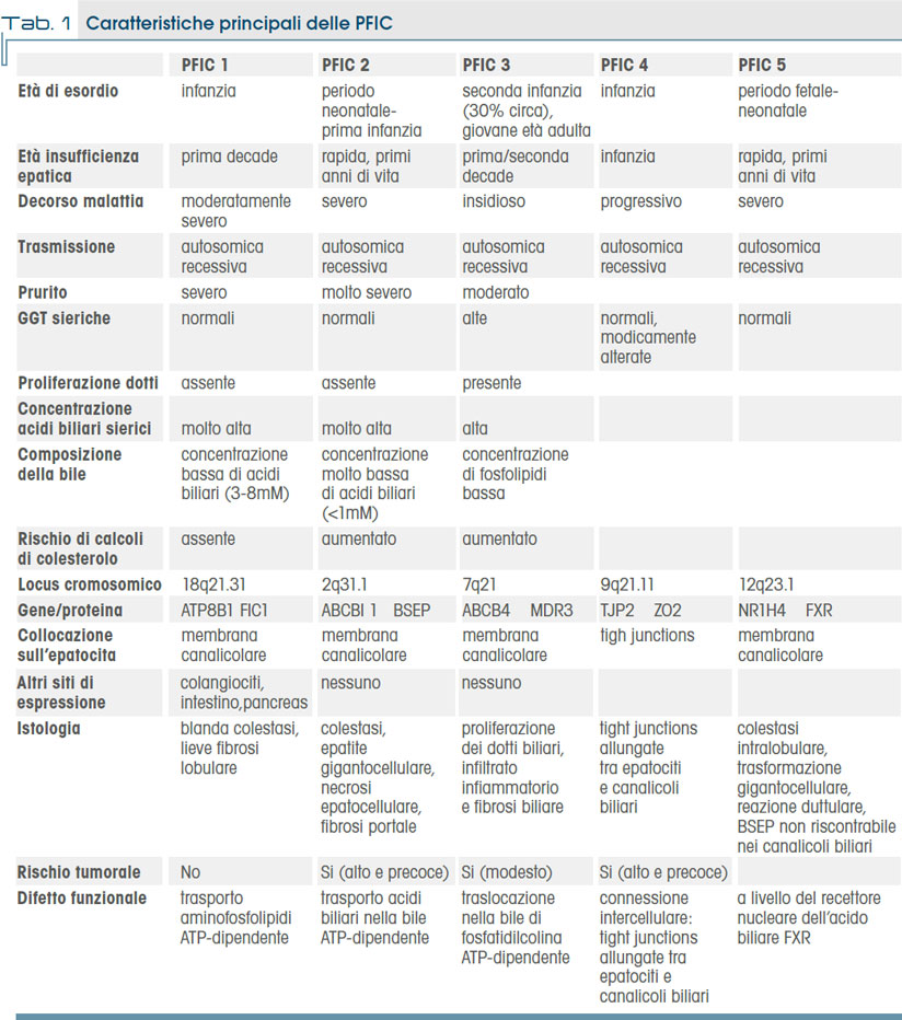 Tab. 1 Caratteristiche principali delle PFIC